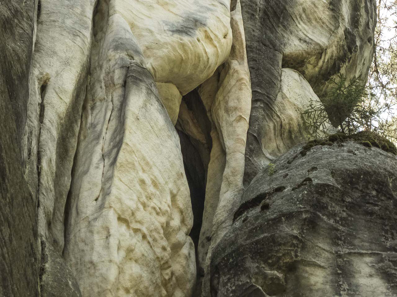 P1100631