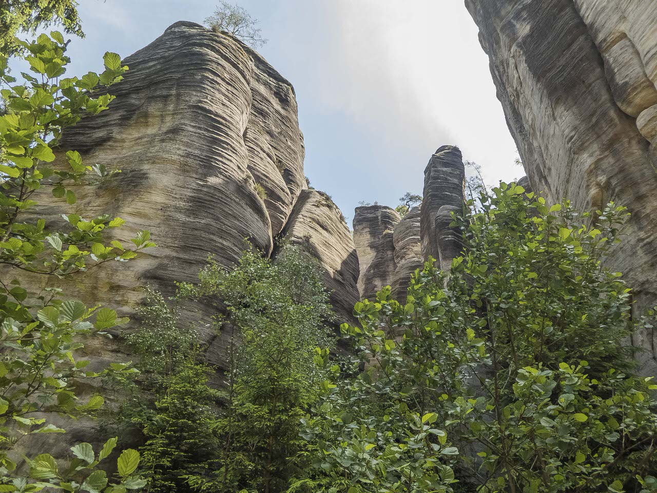 P1100646