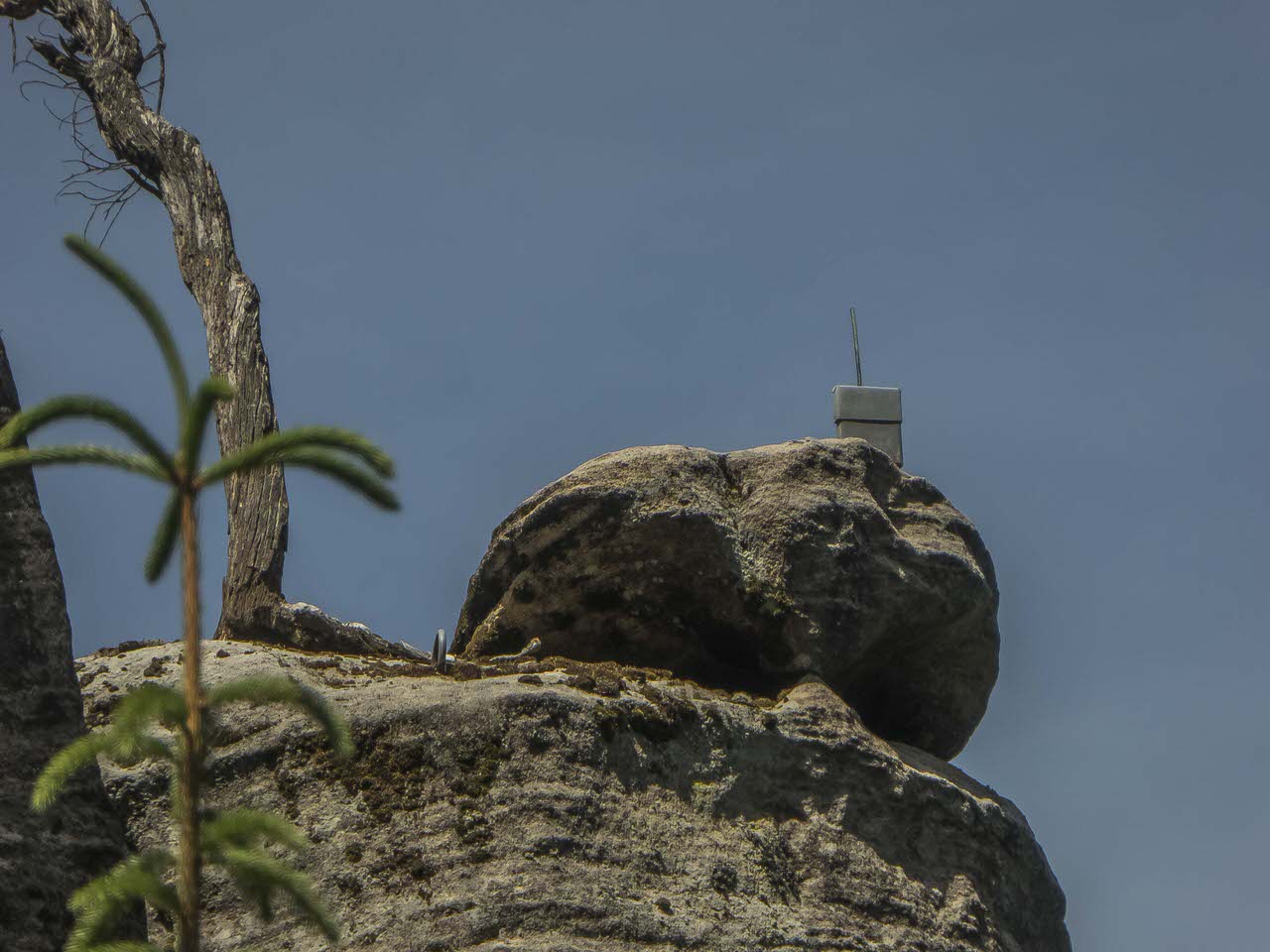 P1100647