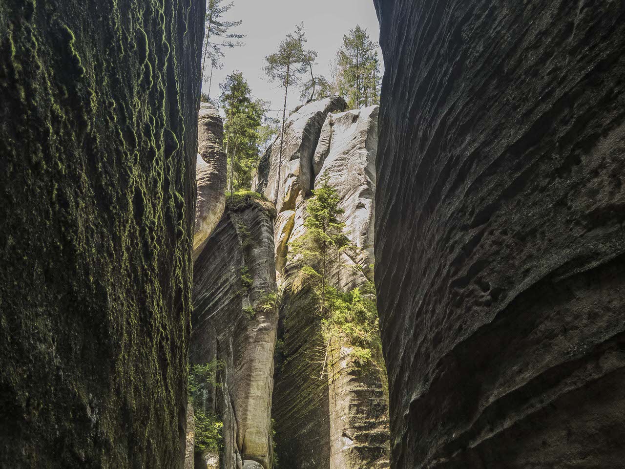P1100649