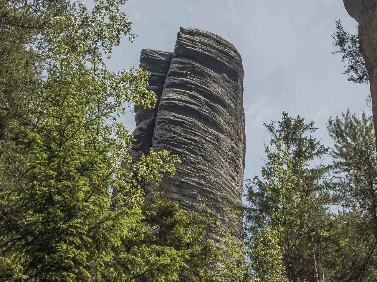 P1100656