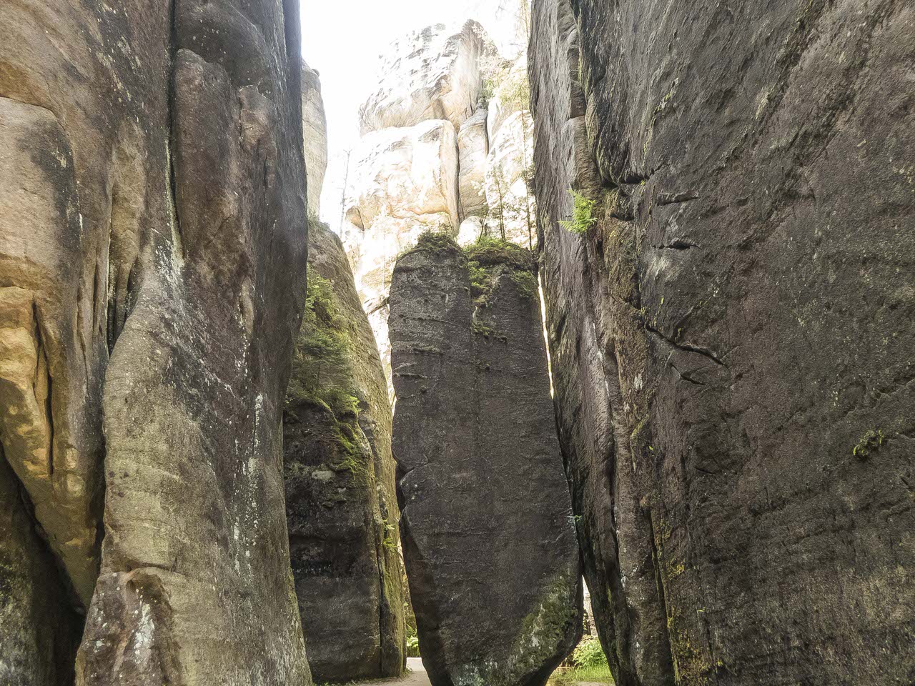 P1100658