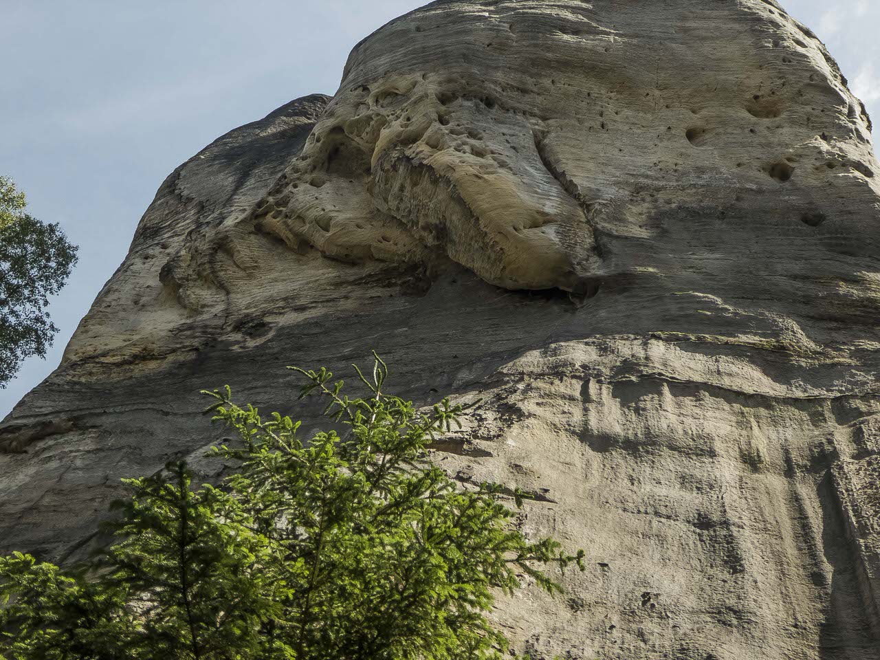 P1100663