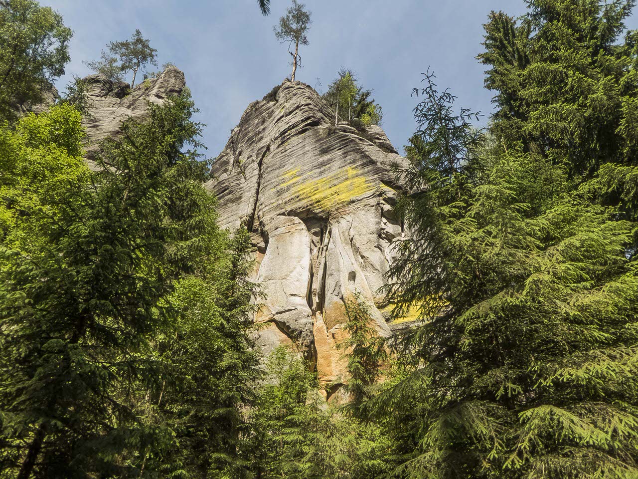 P1100667