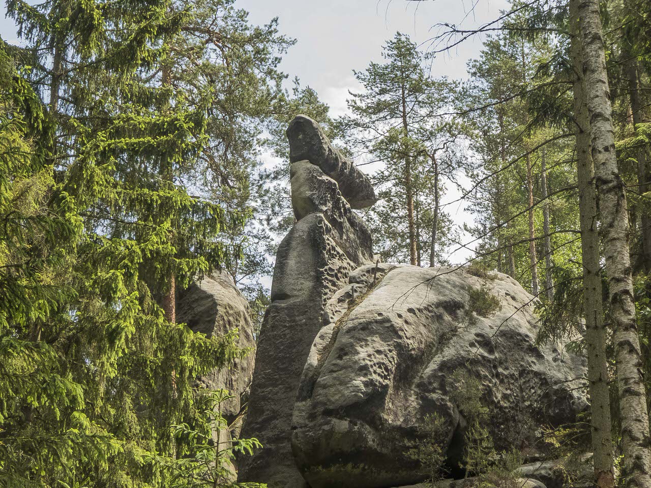 P1100681