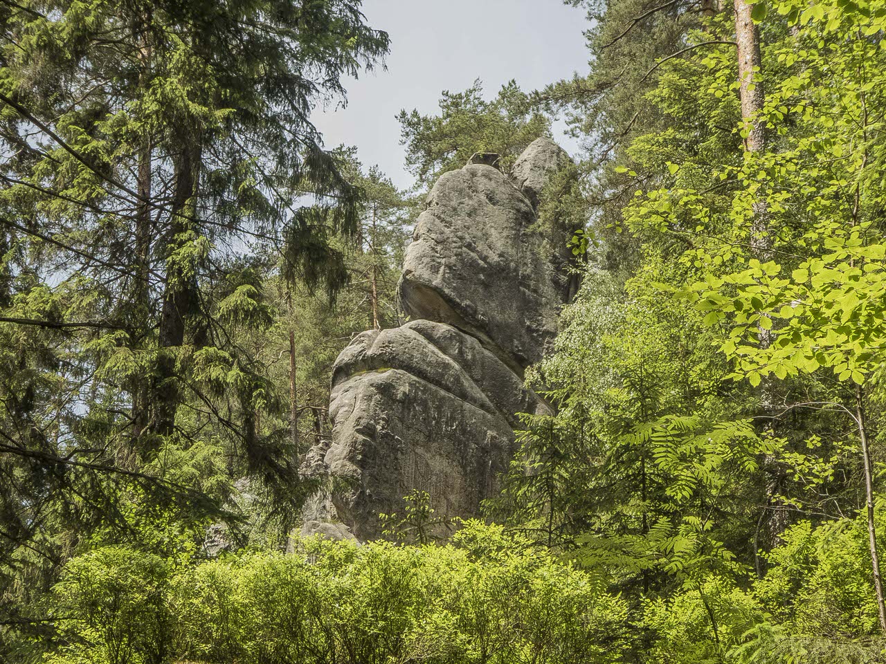 P1100694