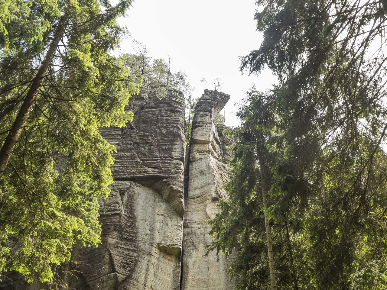 P1100724