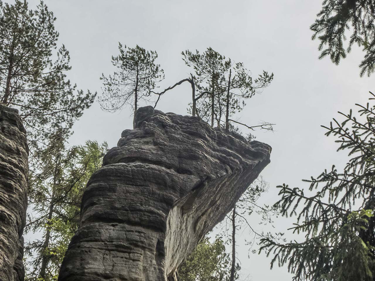 P1100725