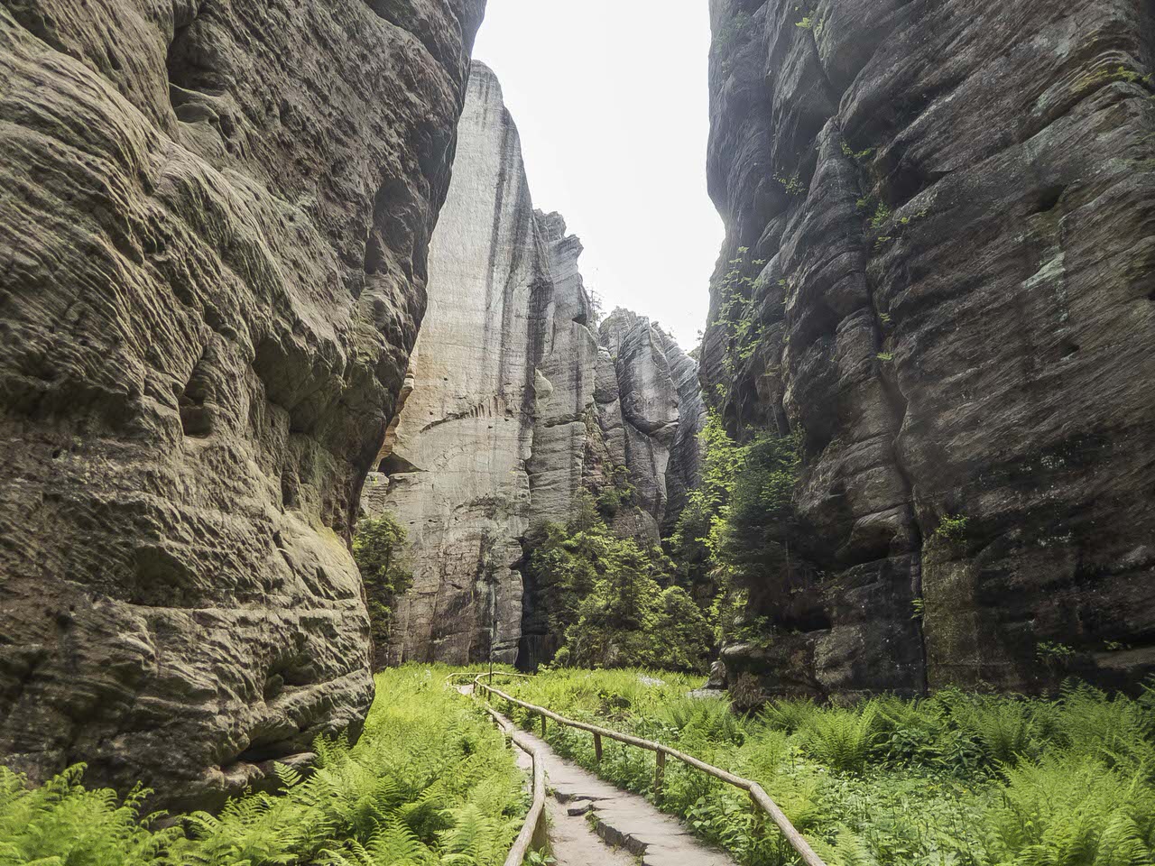 P1100744