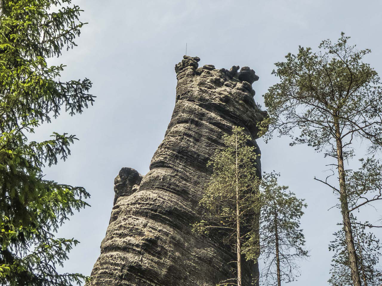 P1100768