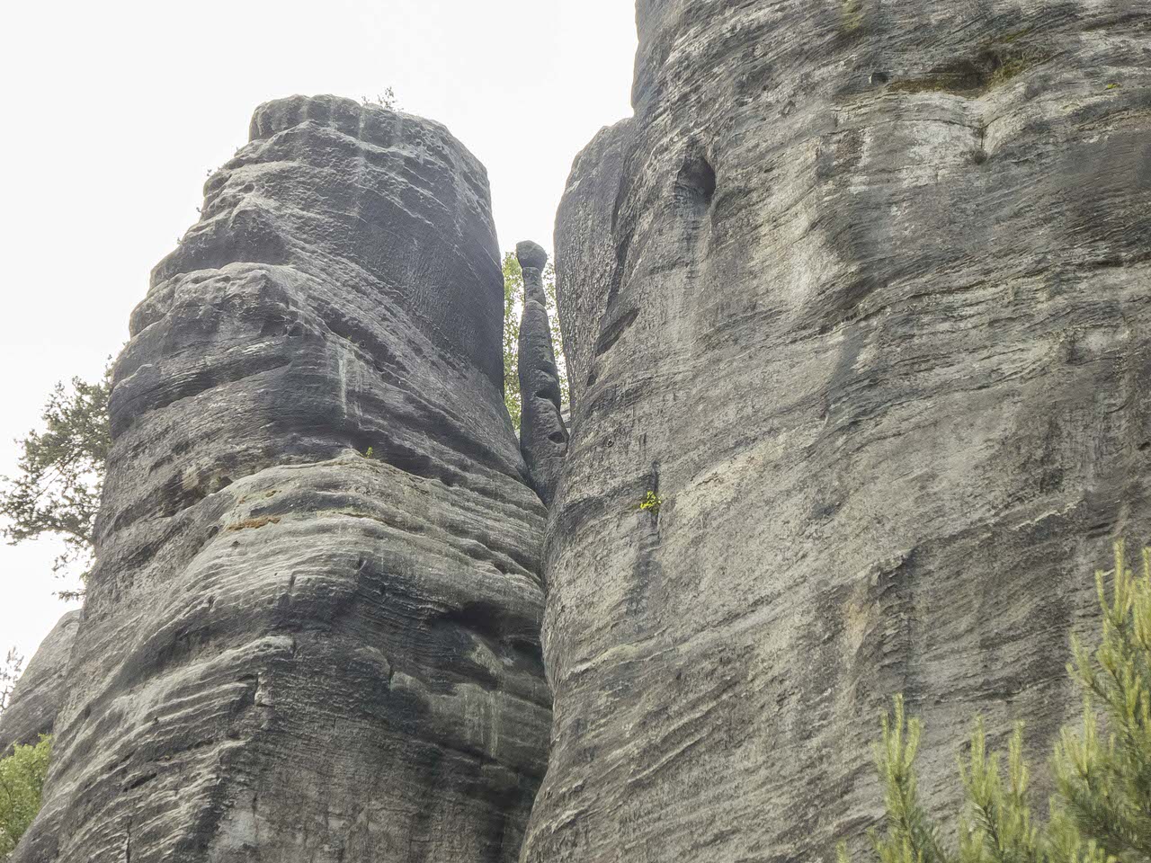 P1100774