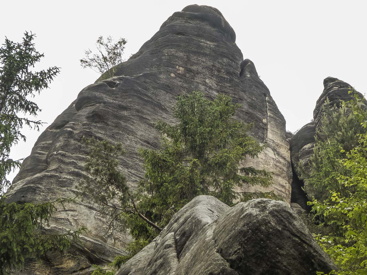 P1100784