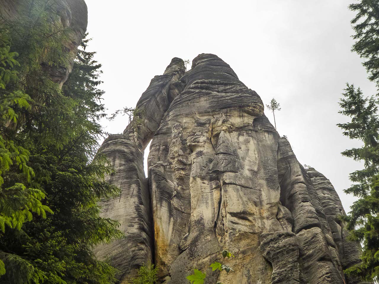 P1100821