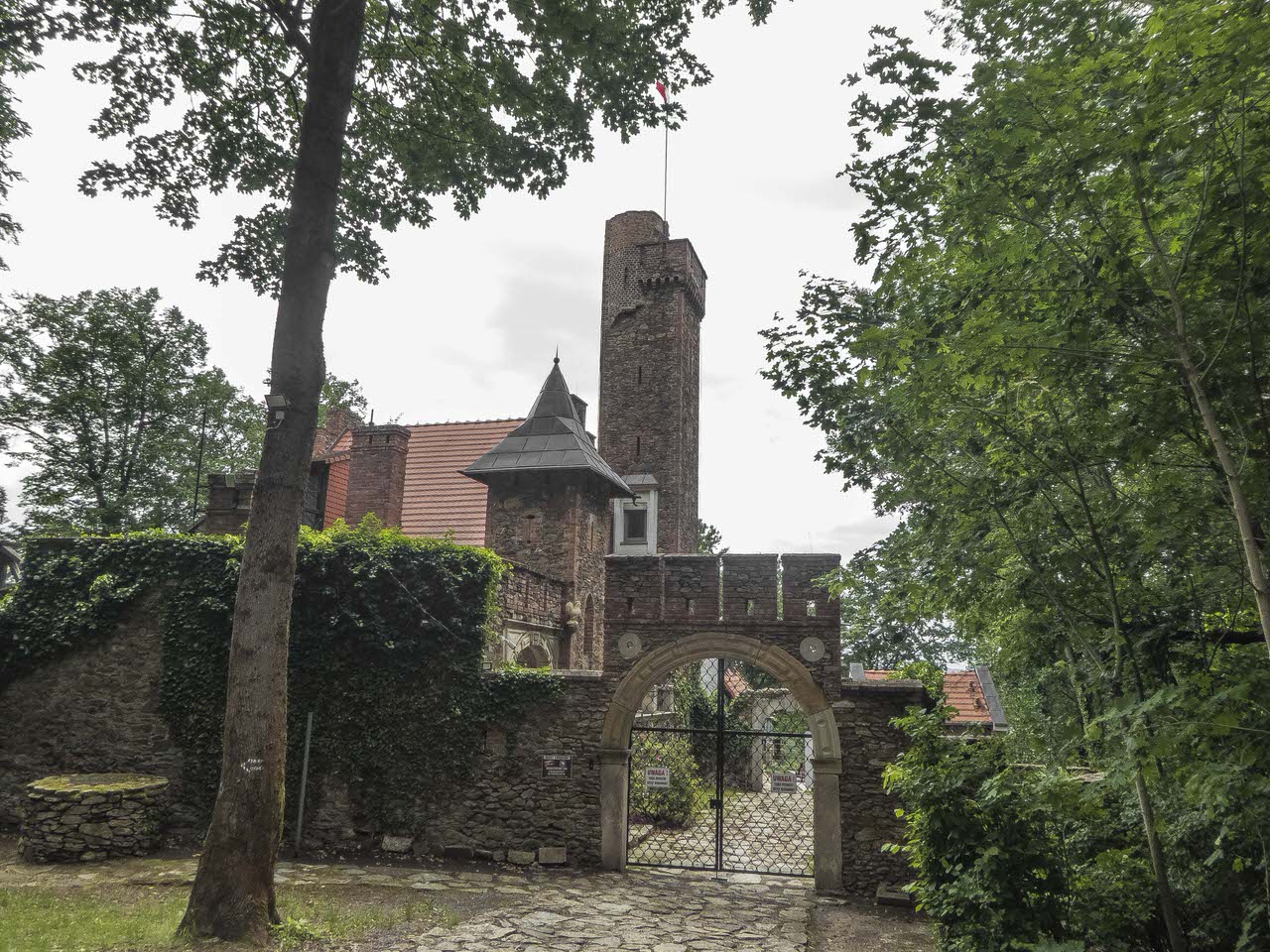 P1100429
