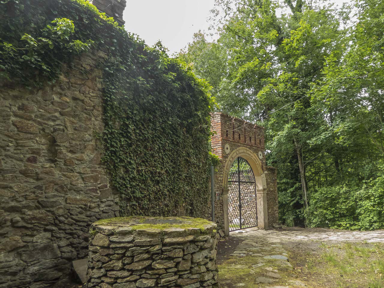 P1100432