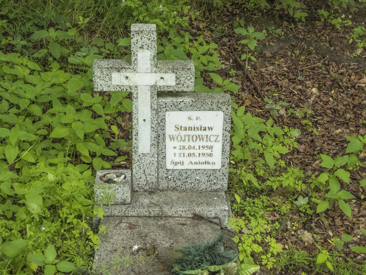 P1100456