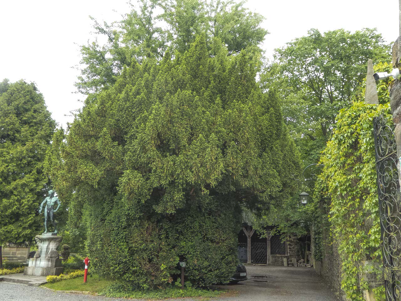 P1100552