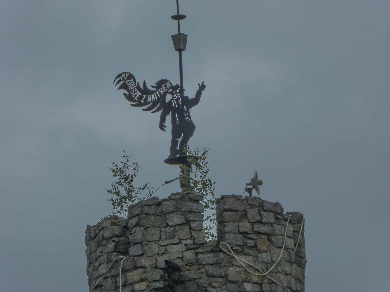 P1100563
