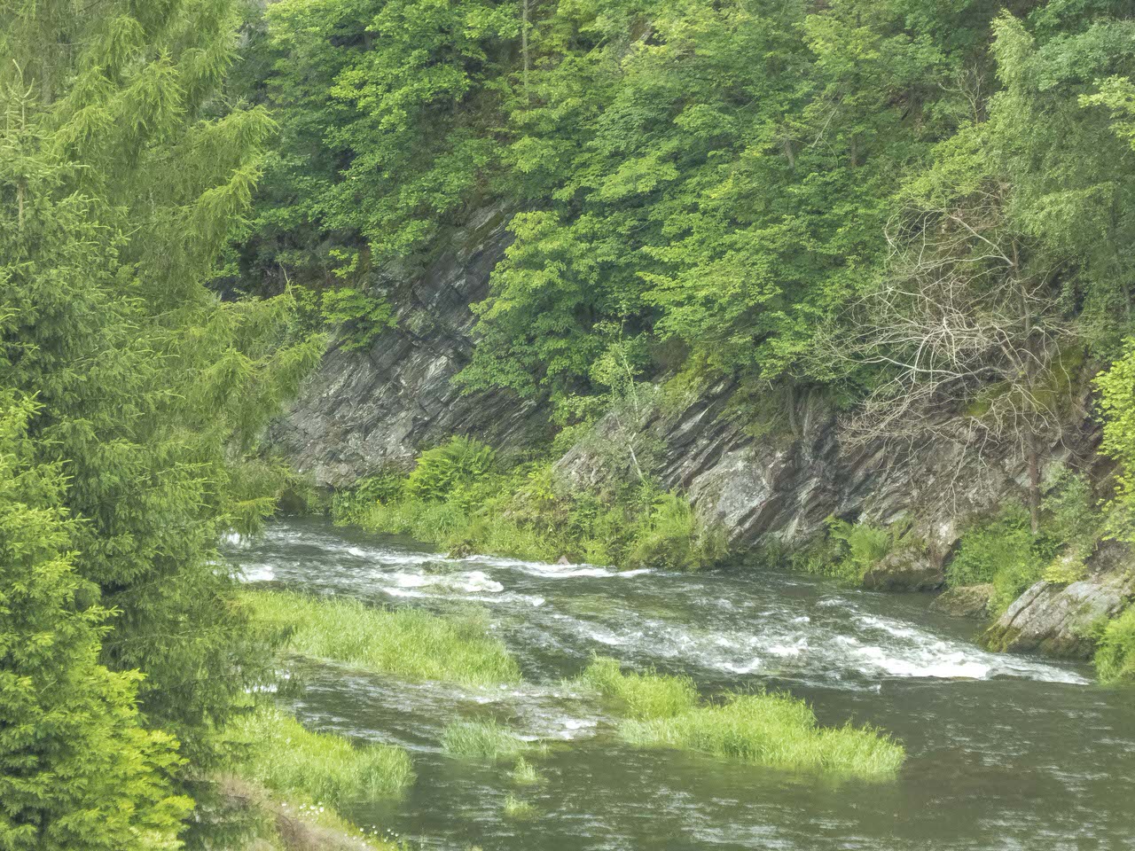 P1100586