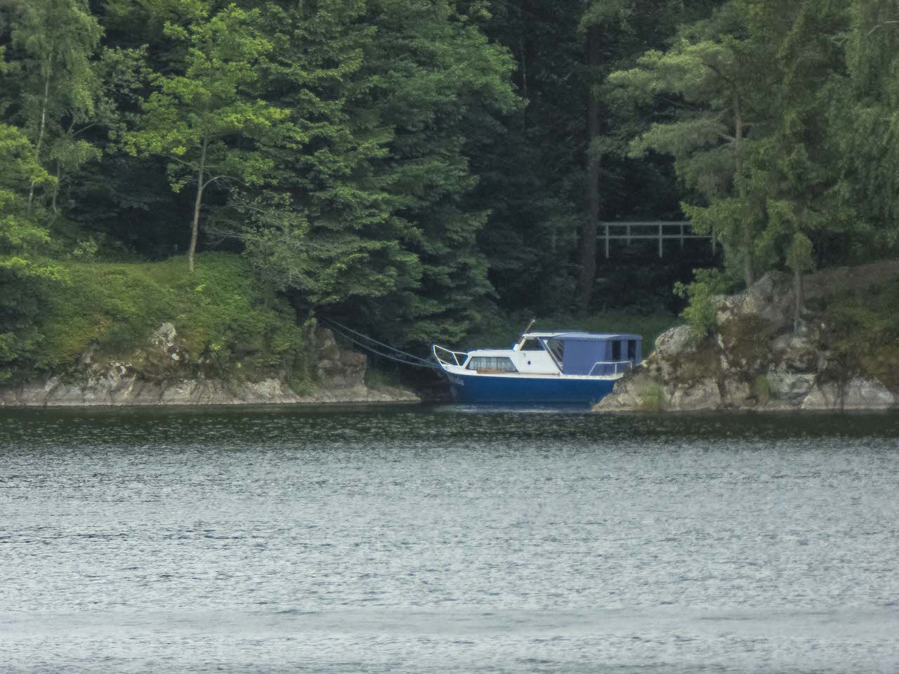 P1100588