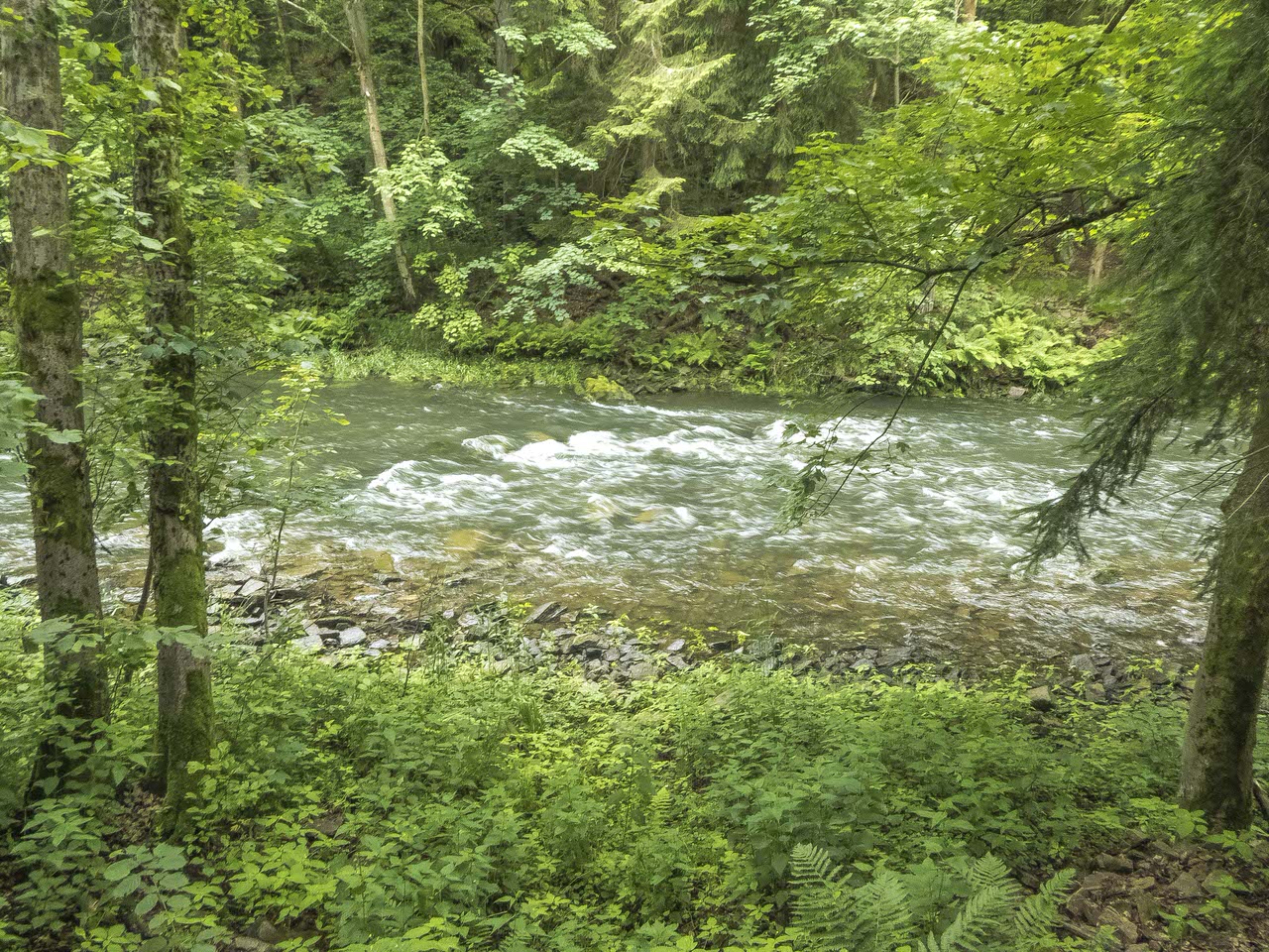 P1100591