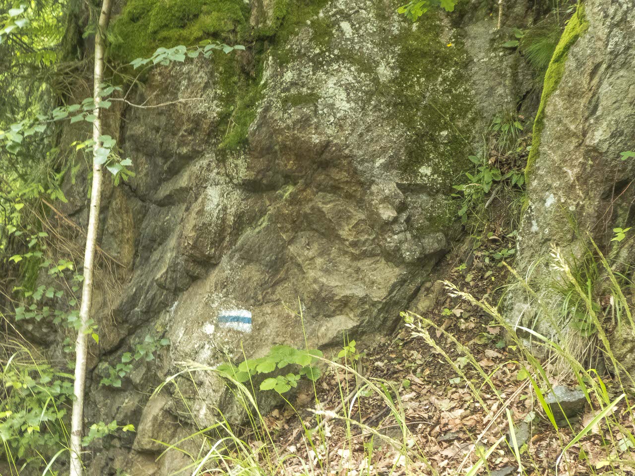 P1100594