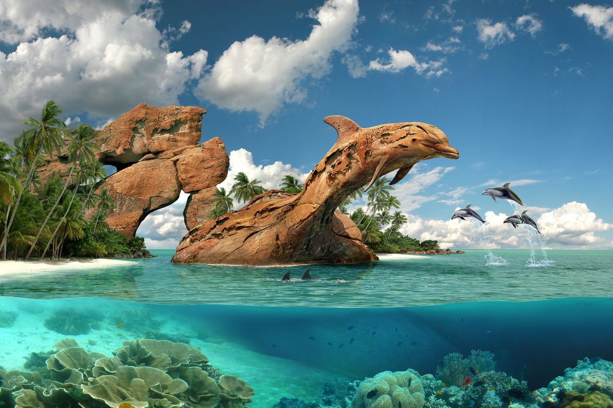 Dolphin paradise