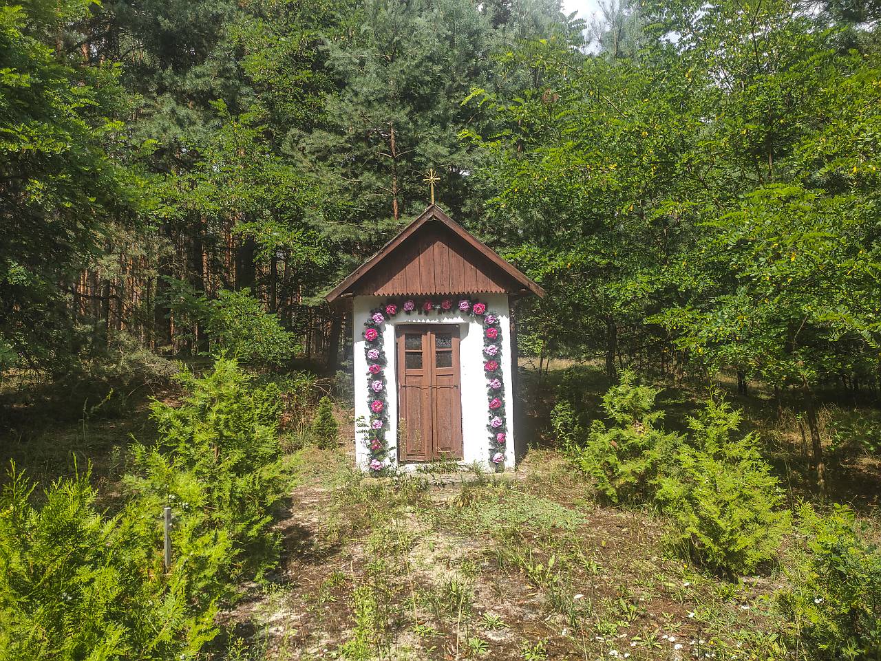 IMG20230729135716 01