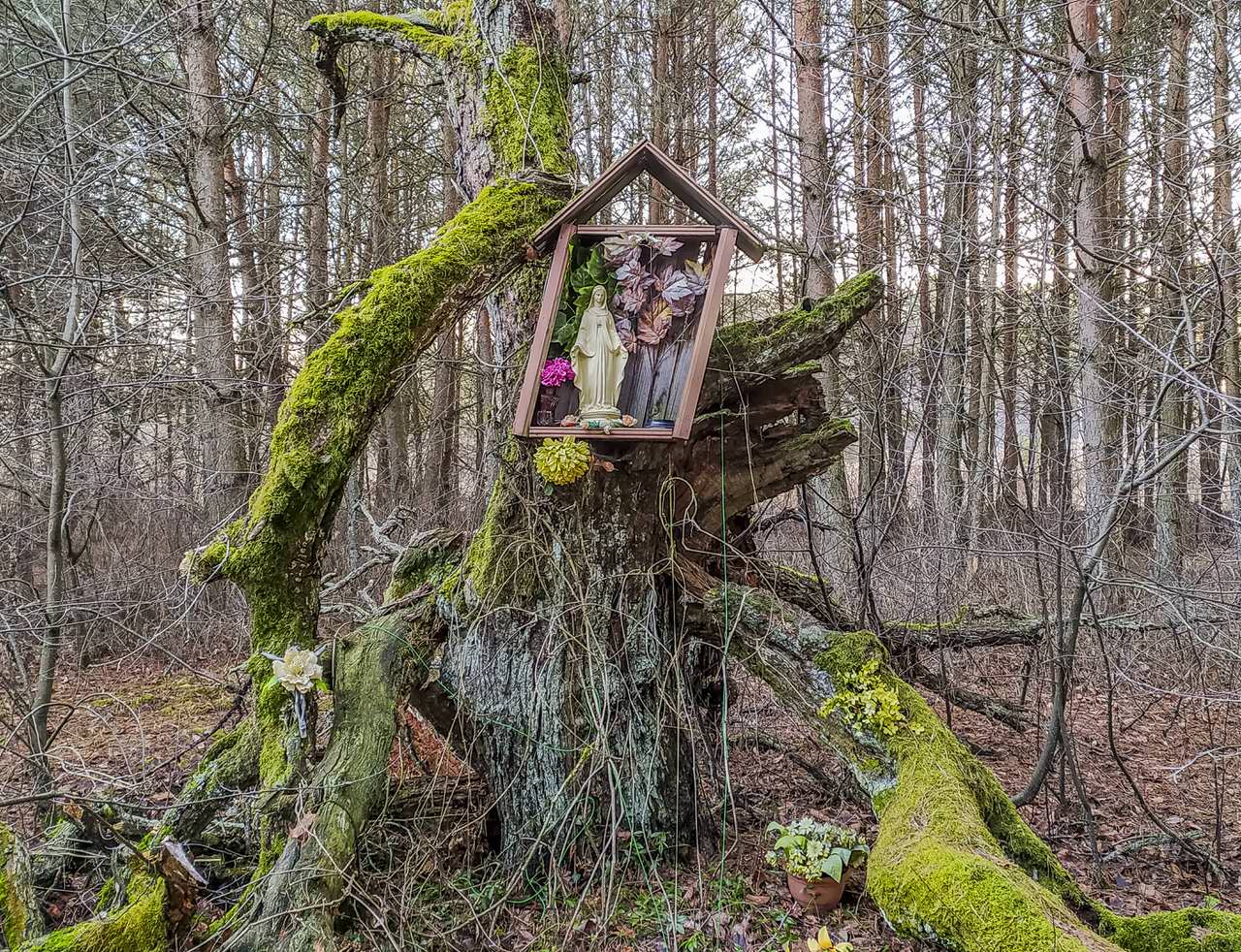 IMG 20200115 152054 1