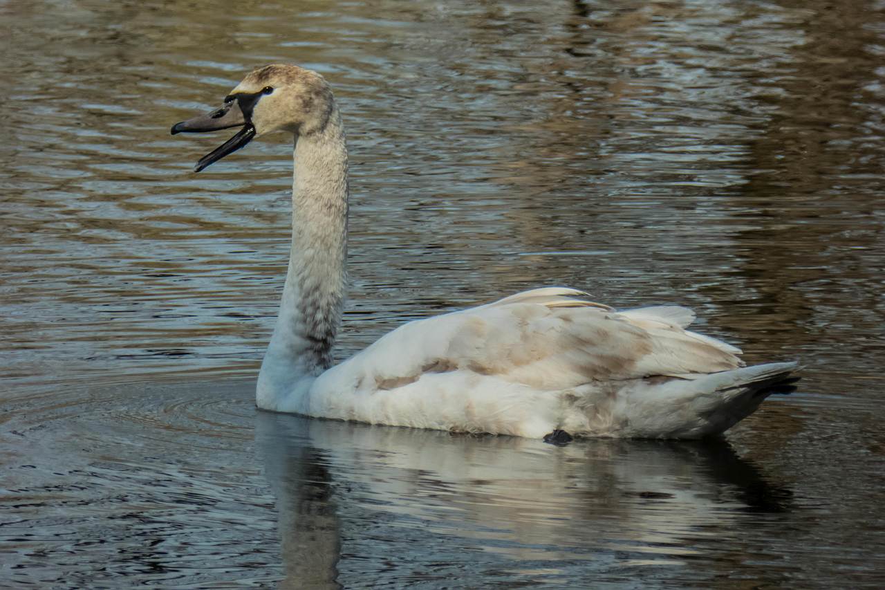 Wycieczka emerytów :-)