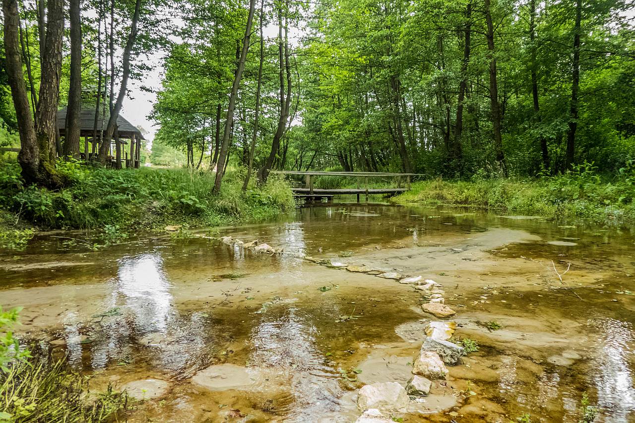 Źródliska w Łanach