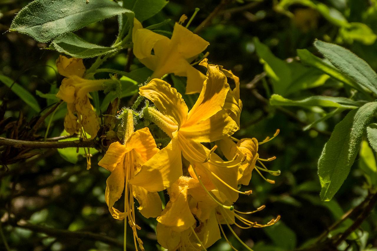 Do Rezerwatu Kołacznia z nawiązką