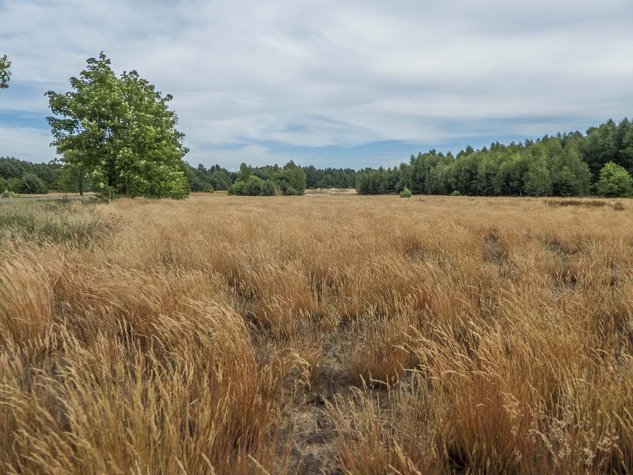 Okolice Biłgoraja - kwadraty