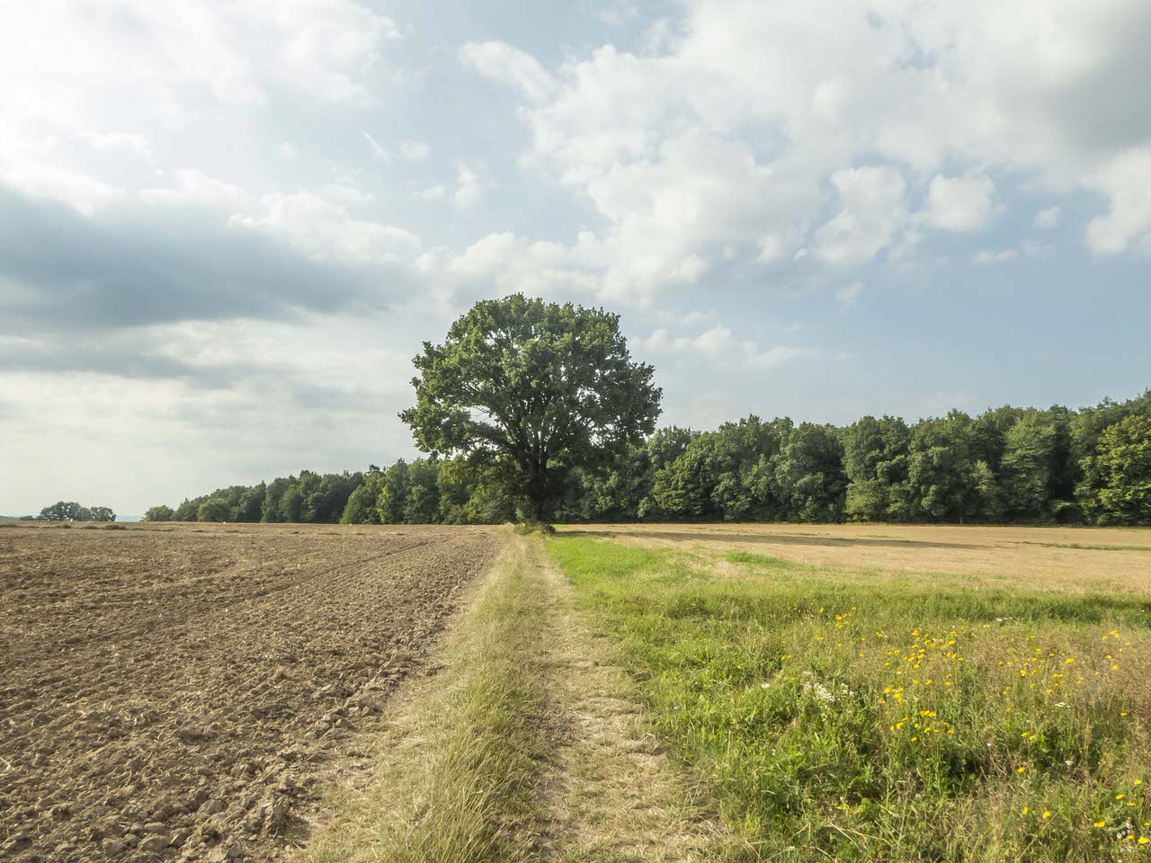 Lubelskie kwadraty cd.