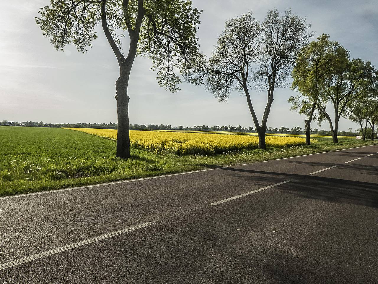 z cyklu: Zalicz gminę na rowerze
