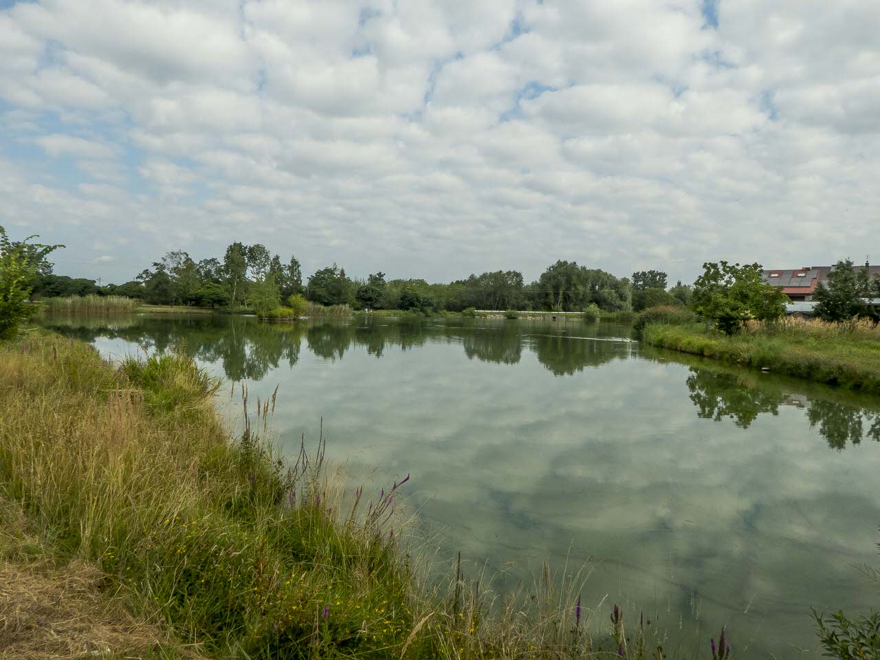 Okolice Tarnogrodu - kwadraty