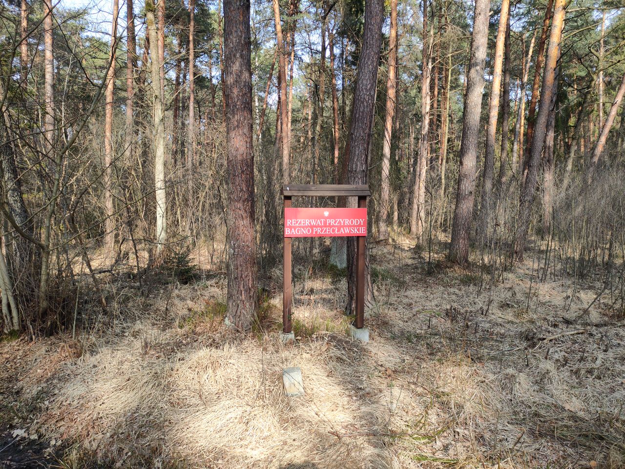 IMG20250329144226 01