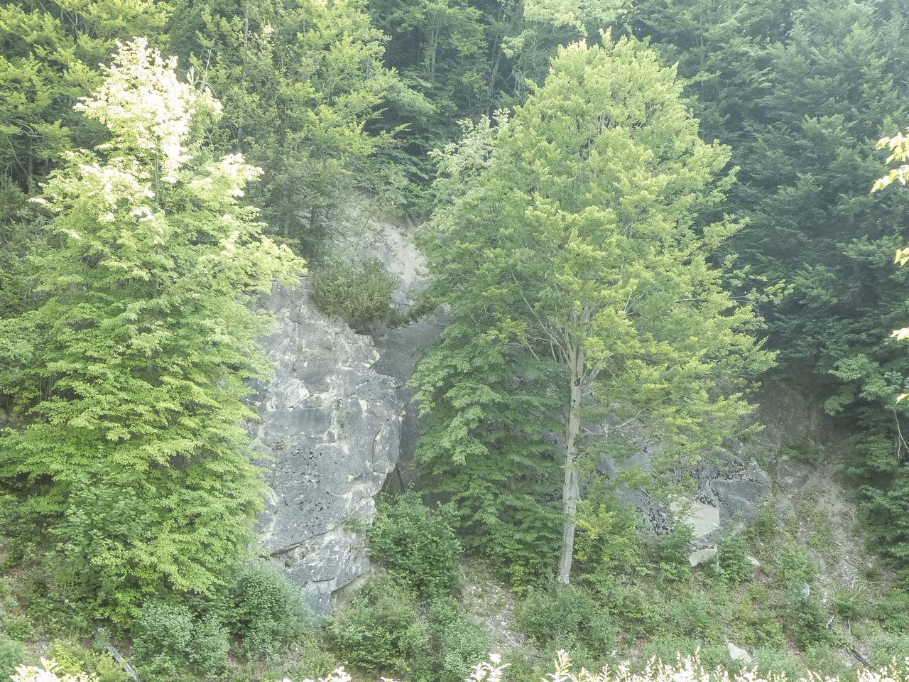 P1100929