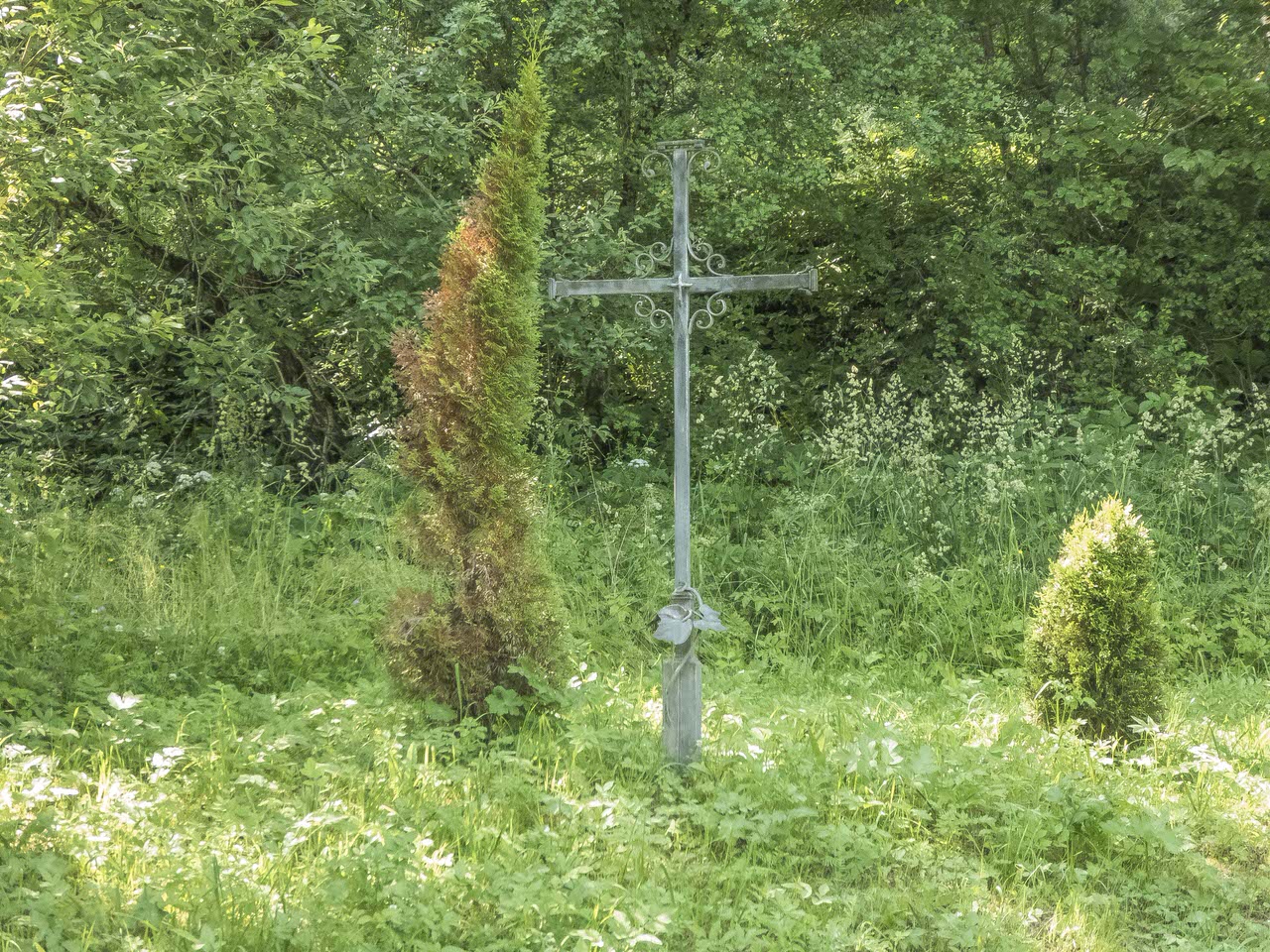 P1100931