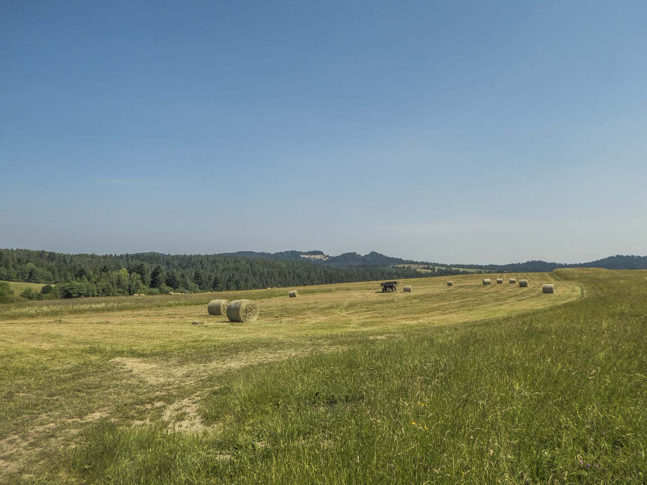 P1100950