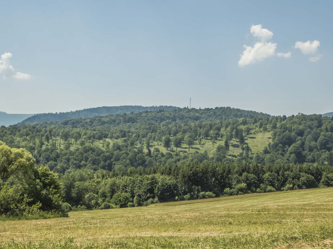 P1100959