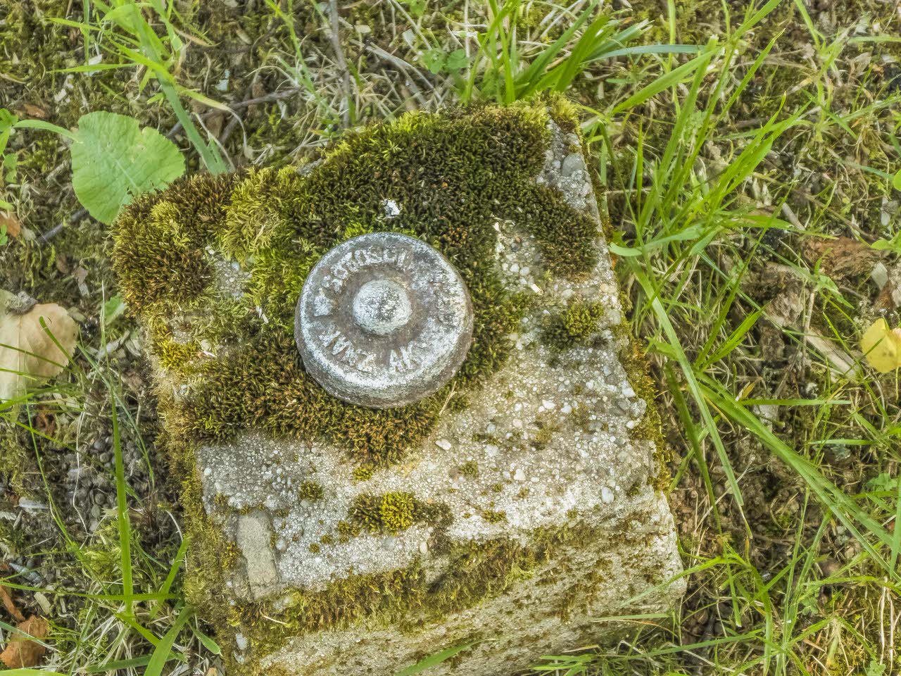 P1100969