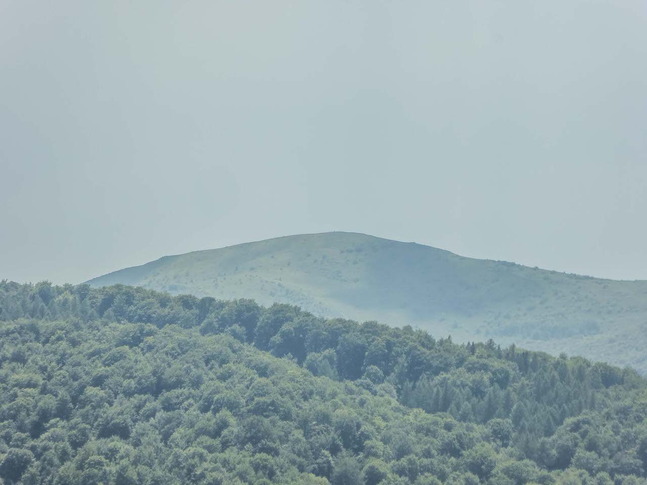 P1100996