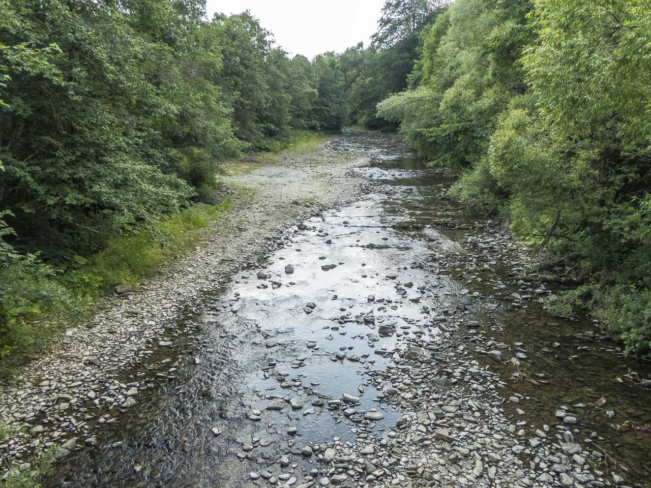 P1110006
