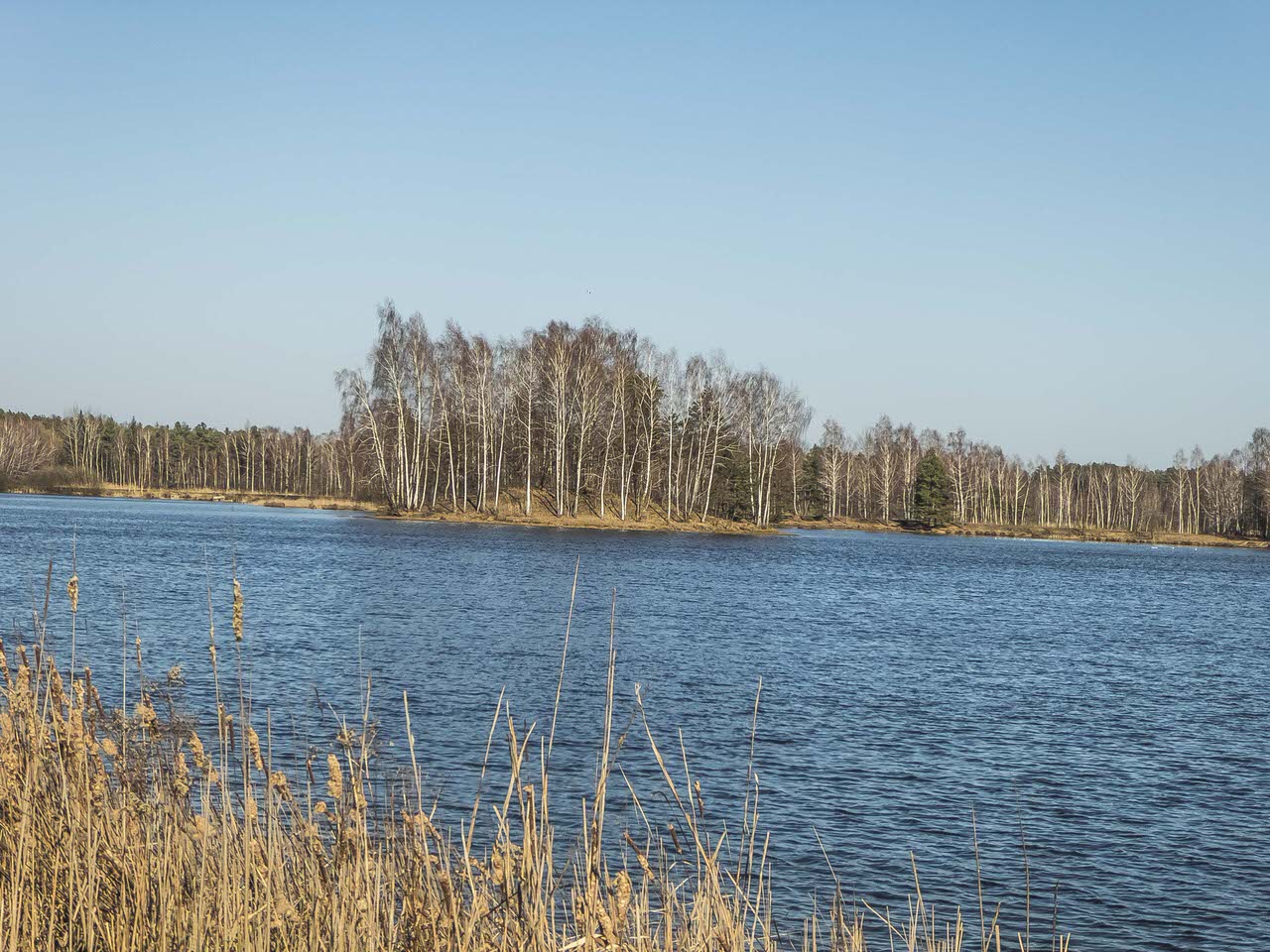 P1100317
