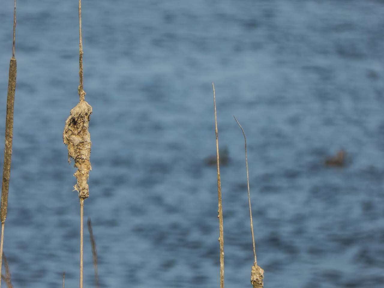 P1100320