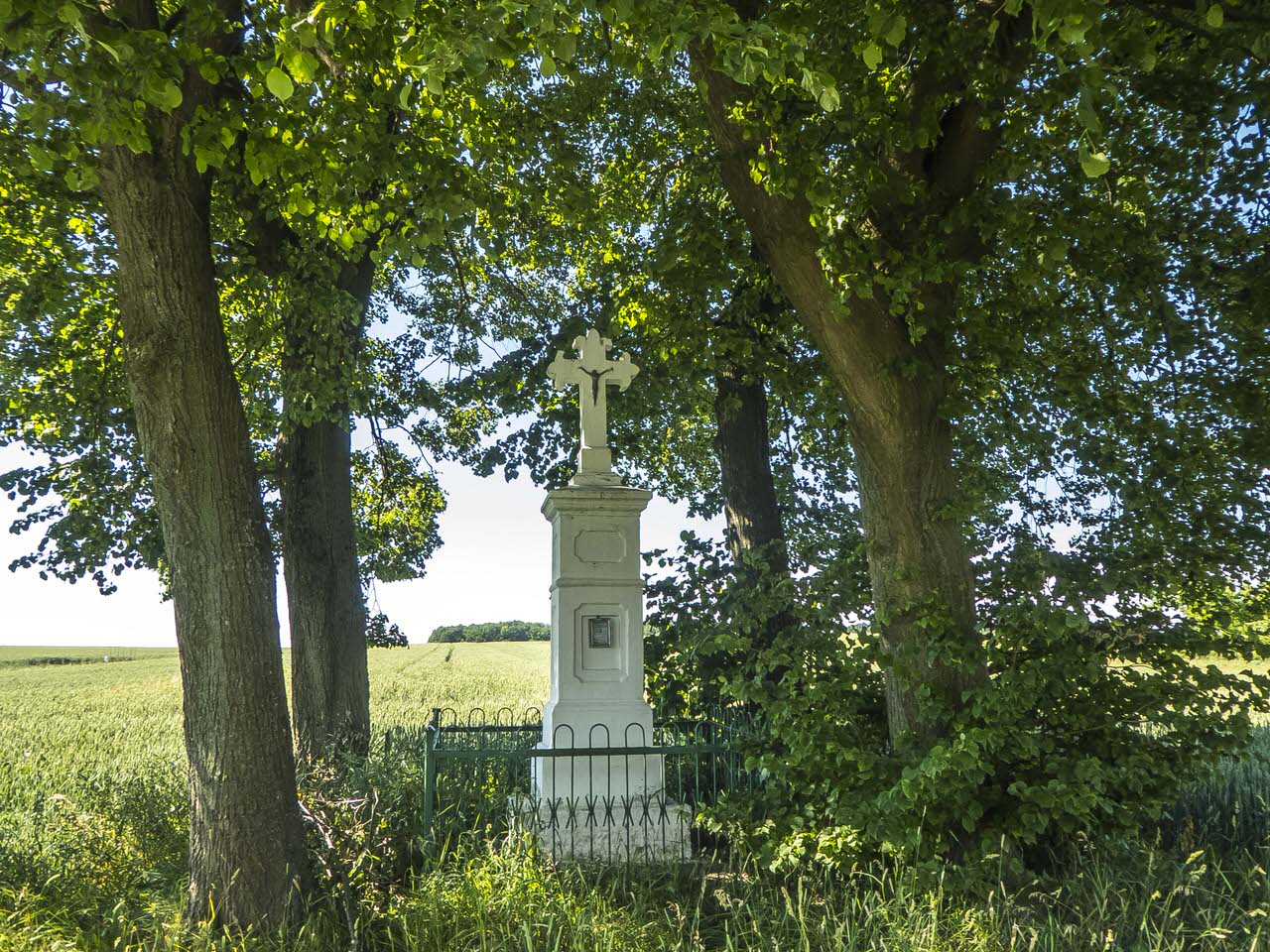 P1100855