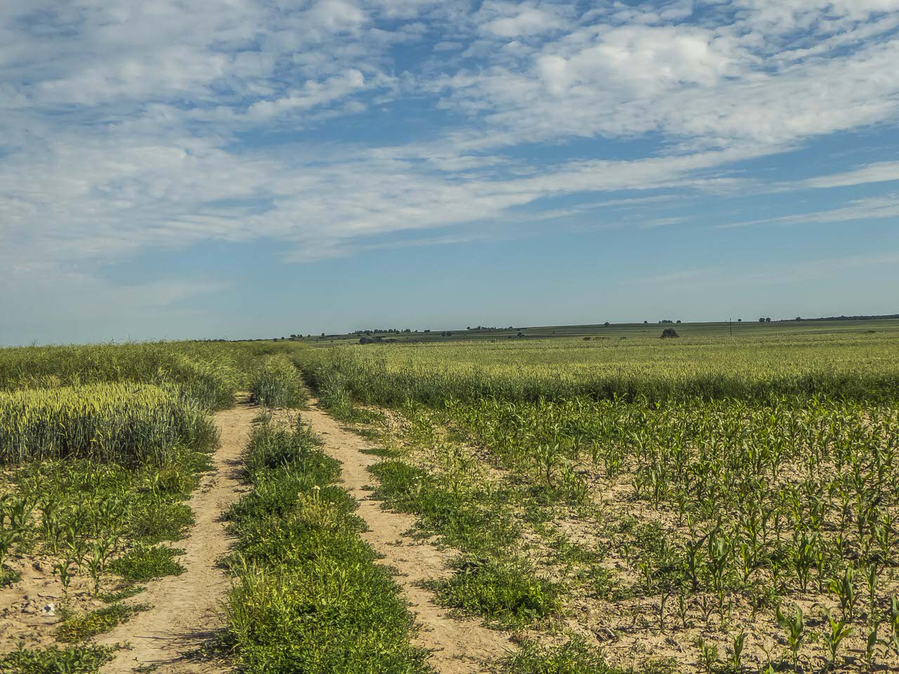 P1100859