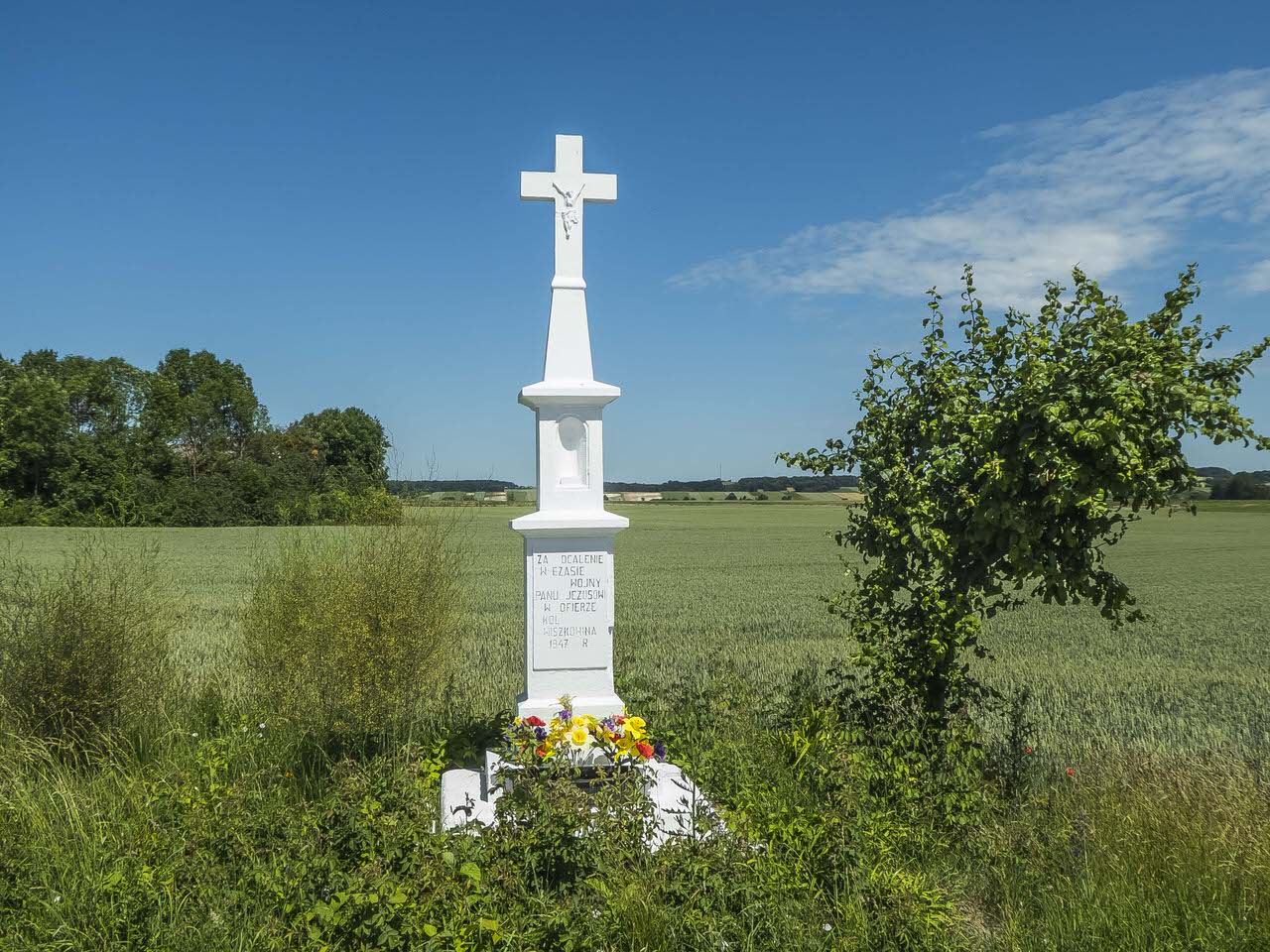 P1100876