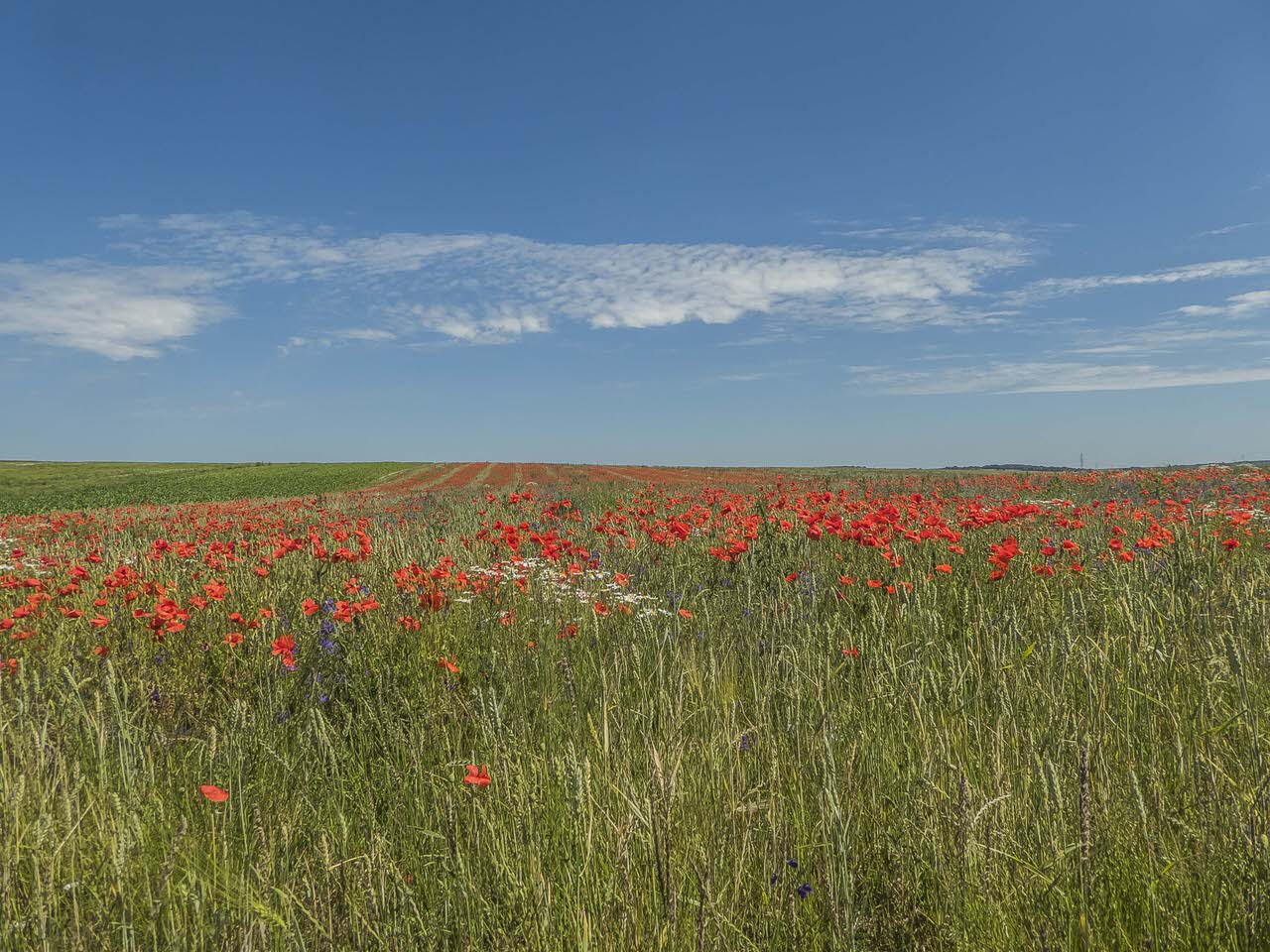 P1100878